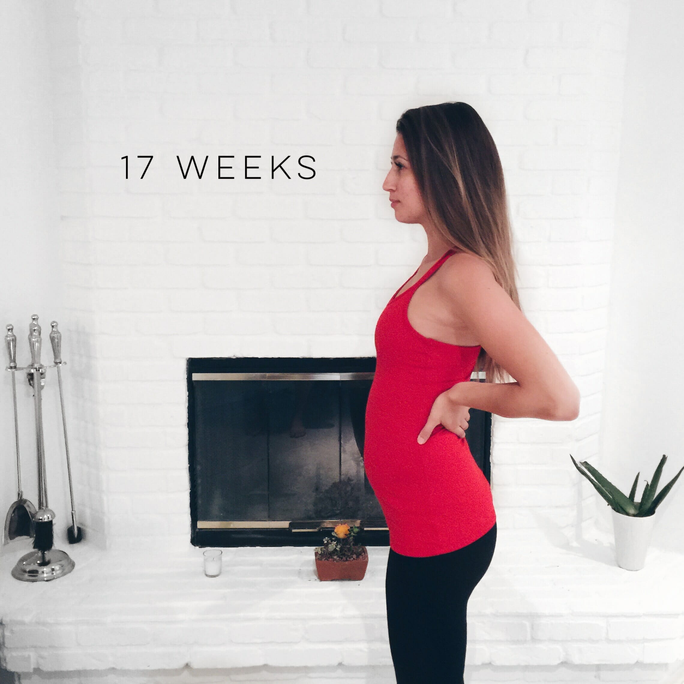 17 WEEKS PREGNANT - What Lola Likes