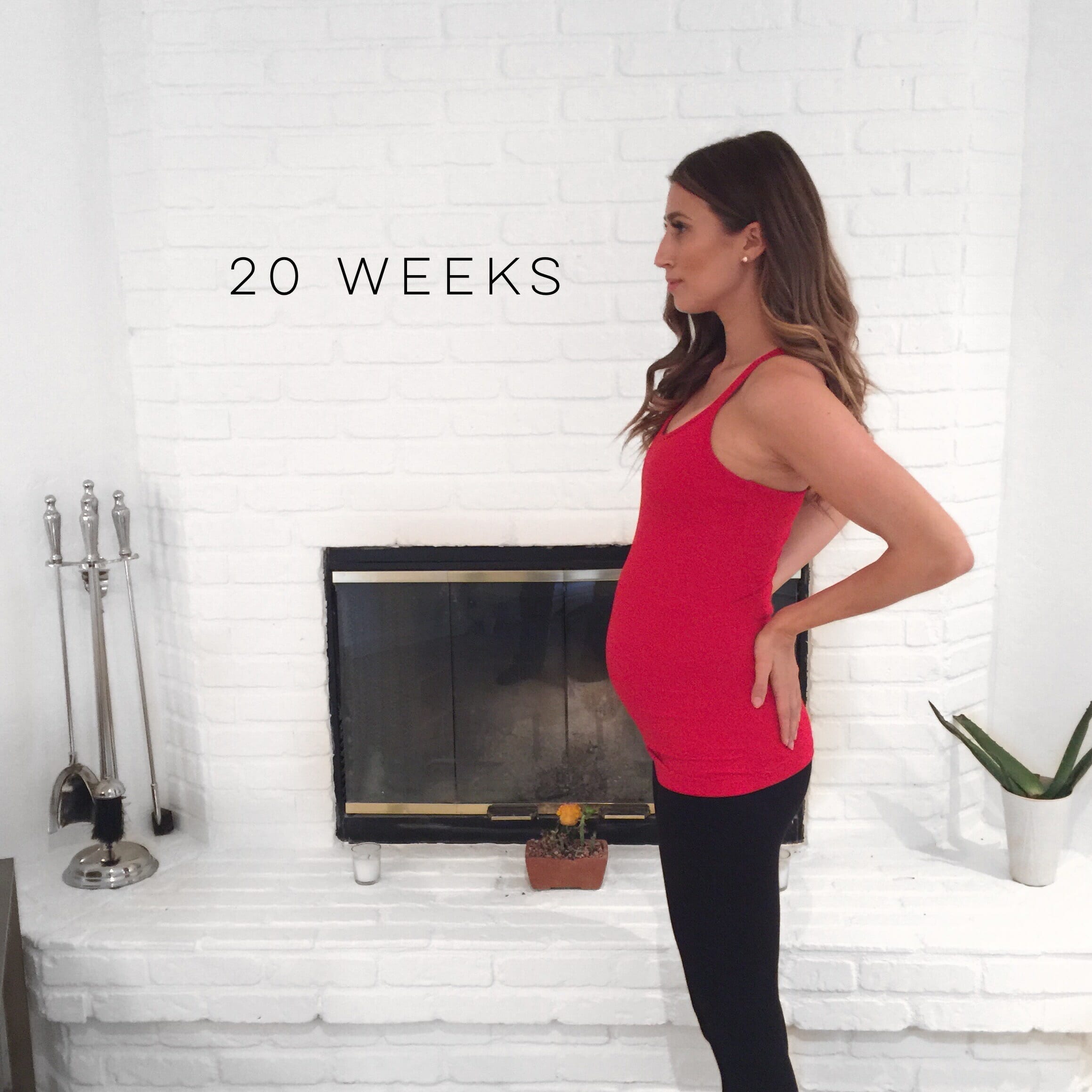 20 WEEKS PREGNANT – What Lola Likes